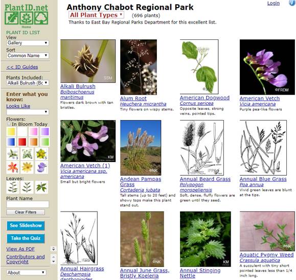 You can view the Plant List as a Gallery, as well asa list. This shows
